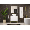 Bathroom cabinet 80cm with sink gold rack - ASPEN 08