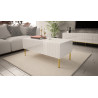 COFFEE TABLE 120CM ON GOLD LEGS - HEXA 3