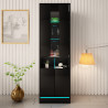 VITRINE 180CM WITH LED STRIP AND GLASS DOOR - DISPARO 1